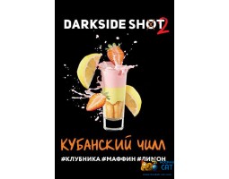 Табак Dark Side Shot Кубанский Чилл 30г Акцизный